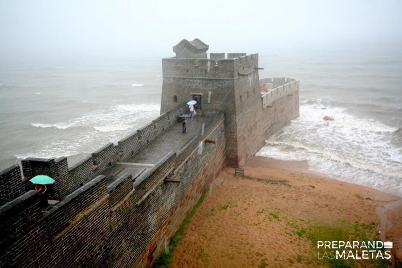 14465-R3L8T8D-1000-chinski