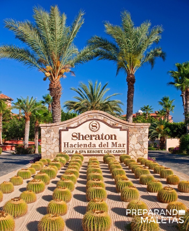 preparando-las-maletas-sheraton-los-cabos-hacienda-del-mar-24