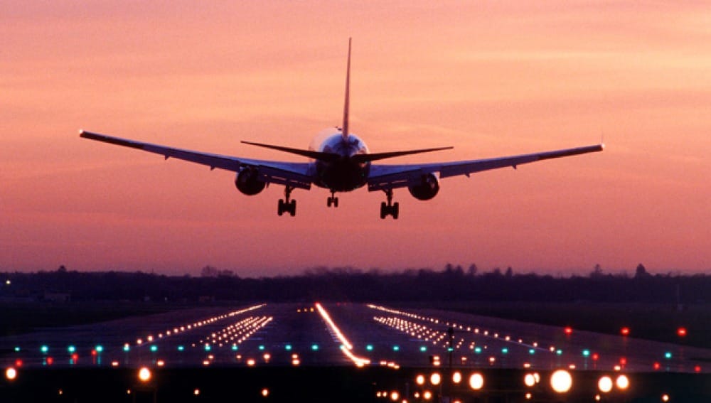 Aeropuertos ocupan la cetrería para evitar choques de pájaros en turbinas