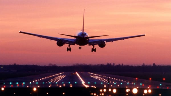 Aeropuertos ocupan la cetrería para evitar choques de pájaros en turbinas