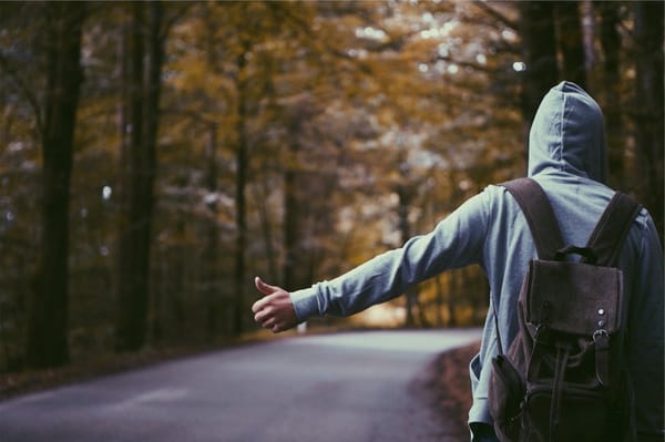 I Now walk into the wild